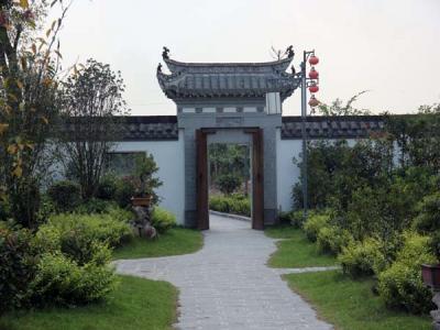 香根草一景观设计应用