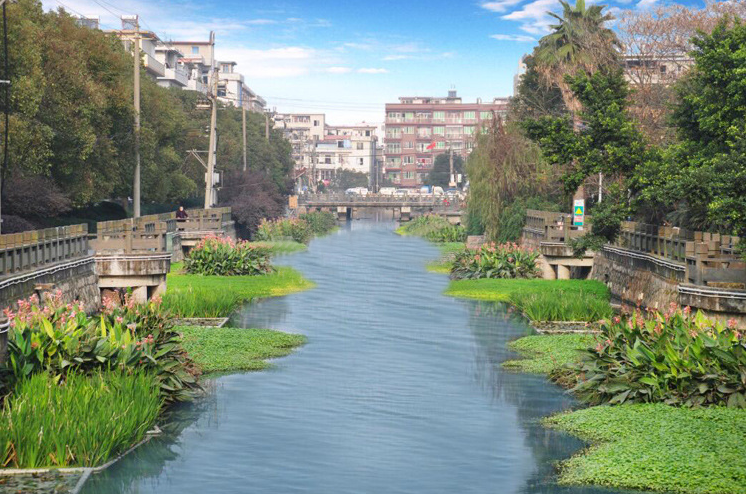 香根草在水利水电工程建设中的应用
