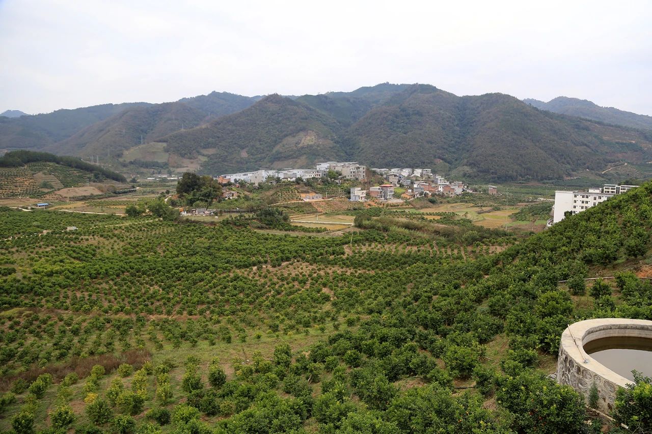 水土保持与荒漠化治理