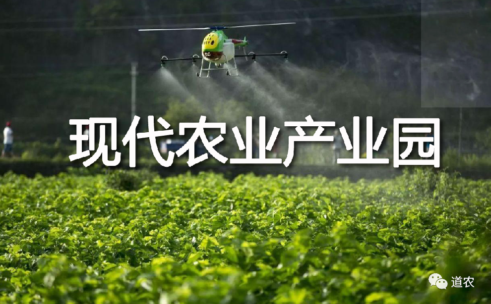 乡村振兴规划